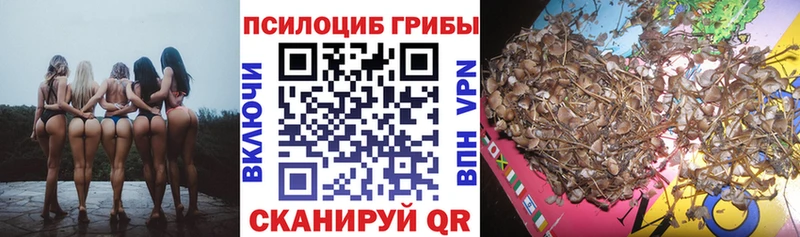 цены наркотик  Миньяр  Галлюциногенные грибы мицелий 